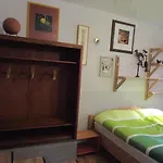 Ferienwohnung im mauerblümchen
